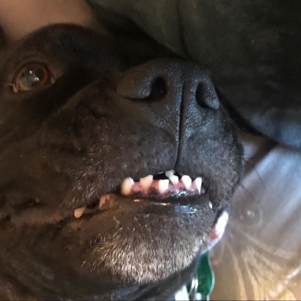 Meet your Posher, Grace